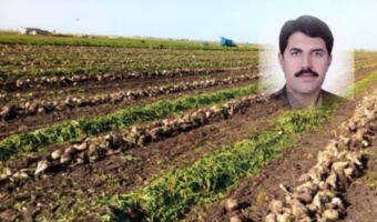 چغندرقند پاییزه راهکاریست برای کاهش مصرف آب و سازگاری با تغییر اقلیم