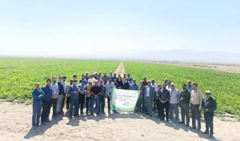 مراسم روز مزرعه استانی چغندرقند در شهرستان تربت‌جام