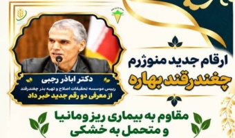 معرفی دو رقم جدید هیبرید چغندرقند بهاره مقاوم به بیماری ریزومانیا و متحمل به خشکی