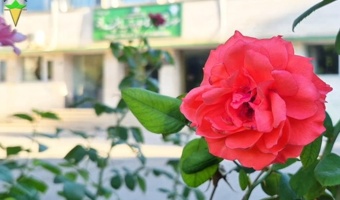 فصل‌ها می‌گذرند؛ اما مسیر پژوهش، تلاش و ساختن آینده همچنان ادامه دارد.