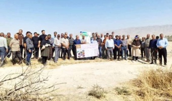 کاروان ترویج و بهره‌وری در مزارع چغندرقند پاییزه استان فارس به ایستگاه یازدهم رسید
