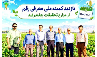 ارقام امیدبخش سه مقاومته چغندرقند بهاره  در مسیر ارزیابی و معرفی