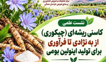 برگزاری نشست علمی در خصوص کاسنی ریشه ای (چیکوری) از به نژادی تا فراوری برای تولید اینولین بومی