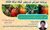 برنامه آموزشی و ترویجی  در شبکه برکت هشتم با عنوان "چغندر علوفه ایی برای تمام فصول"