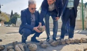 بازدید از عملیات عیارسنجی تک ریشه های اصلاحی بخش تحقیقات به نژادی موسسه