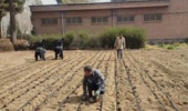 کاشت قطعات اصلاحی ایزوله