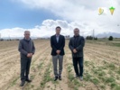 از پروژه های تولید بذر هیبرید و قطعات اصلاحی تولید بذر چغندرقند همدان بازدید شد