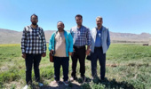 بازدید از مزارع تولید بذر الیت چغندرقند ایستگاه فیروزکوه