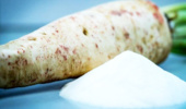 چیکوری؛ منبع اینولین با انرژی کمتر از ساکارز و کاربرد در صنایع غذایی