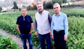 بازدید ریاست موسسه از ایستگاه تولید بذر الیت چغندرقند فیروزکوه
