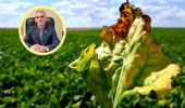 مدیریت تلفیقی؛ راهکار عبور از محدودیت کنترل بیماری‌های خاکزاد