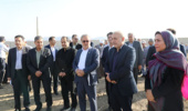 بازدید معاون وزیر و رییس سازمان تحقیقات، آموزش و ترویج کشاورزی از مزراع تحقیقاتی موسسه تحقیقات چغندرقند