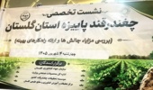 نشست تخصصی هم‌اندیشی و  برنامه‌ریزی کشت چغندرقند پاییزه در استان گلستان