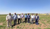 بازدید از مزارع چغندرقند رشتخوار