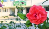 فصل‌ها می‌گذرند؛ اما مسیر پژوهش، تلاش و ساختن آینده همچنان ادامه دارد.