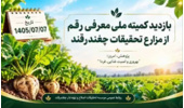 ارقام امیدبخش سه مقاومته چغندرقند بهاره در مسیر ارزیابی و معرفی