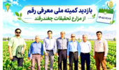 ارقام امیدبخش سه مقاومته چغندرقند بهاره  در مسیر ارزیابی و معرفی