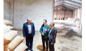 بازدید ریاست موسسه از روند خرید و تحویل بذر تجارتی چغندرقند در اداره اصلاح و تولید بذر چغندرقند اردبیل