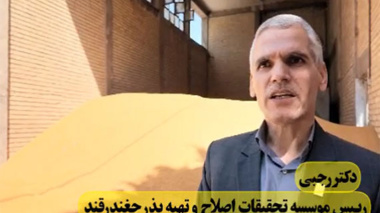 بذرِ ایرانی، قدرتِ ملی؛ تات، طلایه‌دارِ خودکفایی در صنعتِ چغندرقند