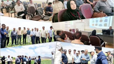 کارگاه آموزشی آشنایی با آفات و بیماری‌های رایج چغندرقند در اقلید فارس