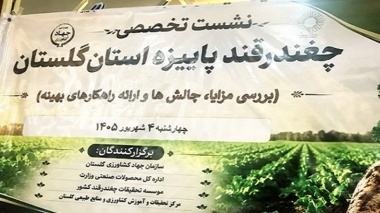نشست تخصصی هم‌اندیشی و  برنامه‌ریزی کشت چغندرقند پاییزه در استان گلستان