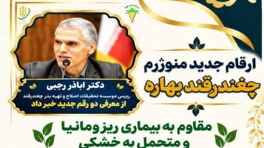 معرفی دو رقم جدید هیبرید چغندرقند بهاره مقاوم به بیماری ریزومانیا و متحمل به خشکی
