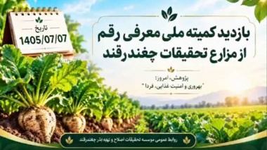 ارقام امیدبخش سه مقاومته چغندرقند بهاره در مسیر ارزیابی و معرفی