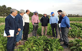 بازدید از طرح‌های آزمایشی چغندرقند و شیرین کننده های دارویی در ایستگاه تحقیقاتی مرحوم عبدالرسول مطهری