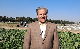 بازدید معاونت برنامه ریزی و امور اقتصادی سازمان تات از عملیات برداشت آزمایش های تحقیقات چغندرقند