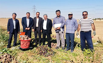 بازدید معاونت برنامه ریزی و امور اقتصادی سازمان تات از لاین های اصلاحی چغندر لبویی