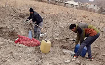 اجرای عملیات سیلو ریشه چه های سال اول ارسالی از ایستگاه مهندس مطهری به ایستگاه تحقیقات فیروزکوه