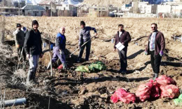 انتقال ریشه های انتخابی بخش تحقیقات به نژادی از ایستگاه تحقیقات بذر الیت فیروزکوه به کرج