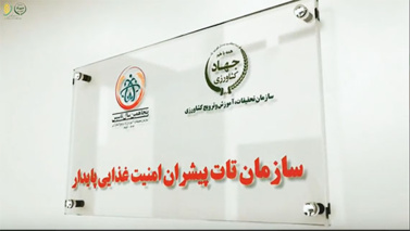 من به سازمان تات، افتخار می‌کنم
