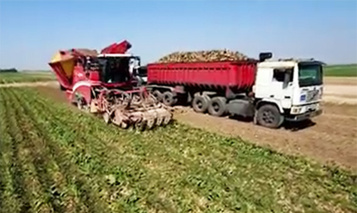 شکسته شدن یک سد علمی؛ وقتی چغندرقند، مهمانِ خانه‌ی نیشکر می‌شود!
