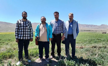 بازدید از مزارع تولید بذر الیت چغندرقند ایستگاه فیروزکوه