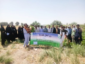 برگزاری برنامه روز انتقال یافته‌های تحقیقاتی چغندرعلوفه‌ای در شهرستان زهک استان سیستان و بلوچستان