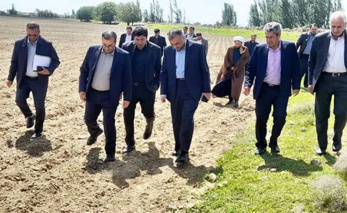 میاندوآب؛ کانون ارزیابی ارقام هیبرید جدید چغندرقند داخلی و خارجی