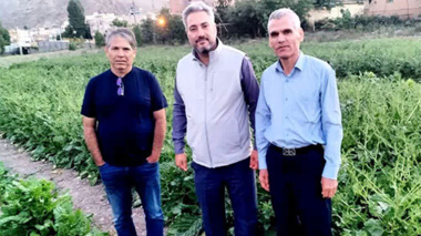 بازدید ریاست موسسه از ایستگاه تولید بذر الیت چغندرقند فیروزکوه