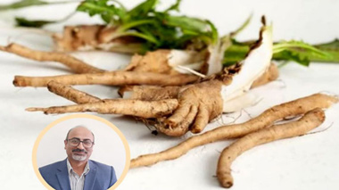کاربردهای چیکوری در صنایع غذایی؛ از لبنیات تا نان و محصولات فراسودمند