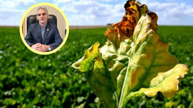 مدیریت تلفیقی؛ راهکار عبور از محدودیت کنترل بیماری‌های خاکزاد