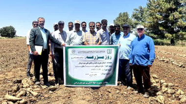 برگزاری روز مزرعه چغندرقند پاییزه در شهرستان سرخس