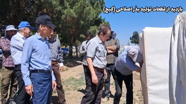 بازدید رییس موسسه تحقیقات ثبت و گواهی بذر و نهال از قطعات تولید بذر اصلاحی چغندرقند