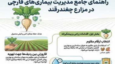 اینفوگرافی ، راهنمای جامع مدیریت بیماری‌های قارچی در مزارع چغندر قند