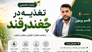 وبینار تخصصی تغذیه در چغندرقند