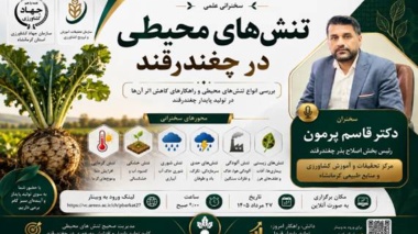 تنش‌های محیطی در چغندرقند