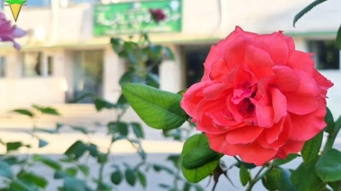 فصل‌ها می‌گذرند؛ اما مسیر پژوهش، تلاش و ساختن آینده همچنان ادامه دارد.