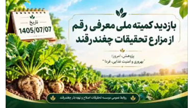 ارقام امیدبخش سه مقاومته چغندرقند بهاره در مسیر ارزیابی و معرفی