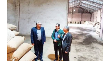 بازدید ریاست موسسه از روند خرید و تحویل بذر تجارتی چغندرقند در اداره اصلاح و تولید بذر چغندرقند اردبیل