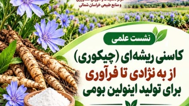 برگزاری نشست علمی در خصوص کاسنی ریشه ای (چیکوری) از به نژادی تا فراوری برای تولید اینولین بومی