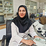 کبری بختیاری